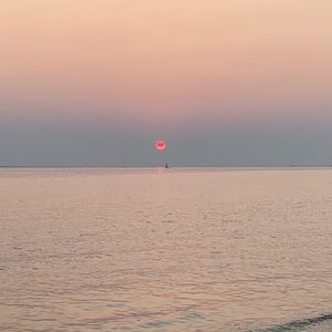 Meet your Posher, Natasha